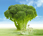 manfaat-brokoli